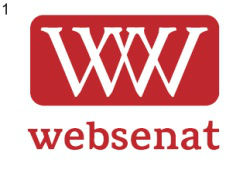 Websenat Logo 1