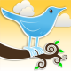 TwitBird (Logo)