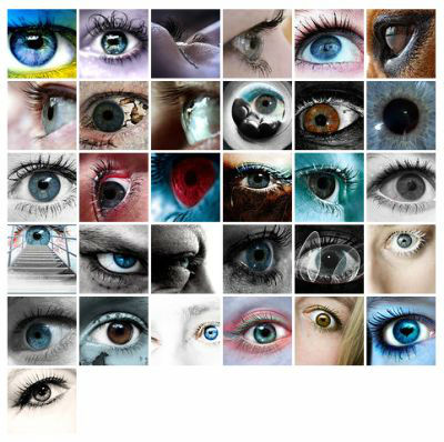 Eyes