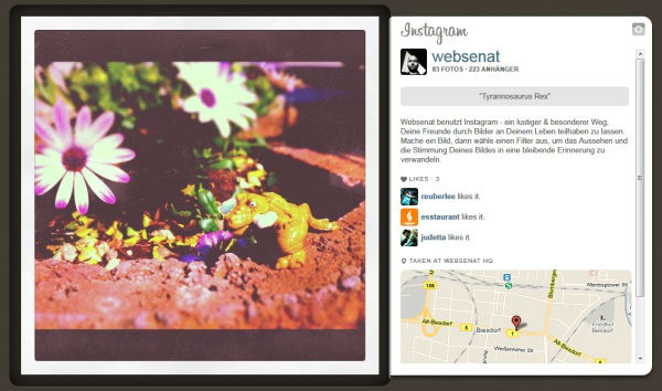 Instagram Webansicht