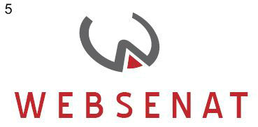 Websenat Logo 5