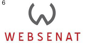 Websenat Logo 6