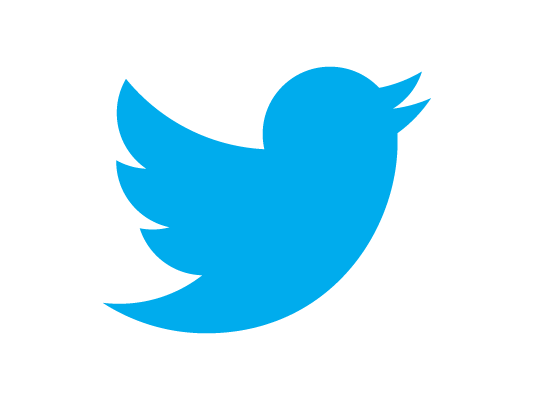 New Twitter Bird (Logo)